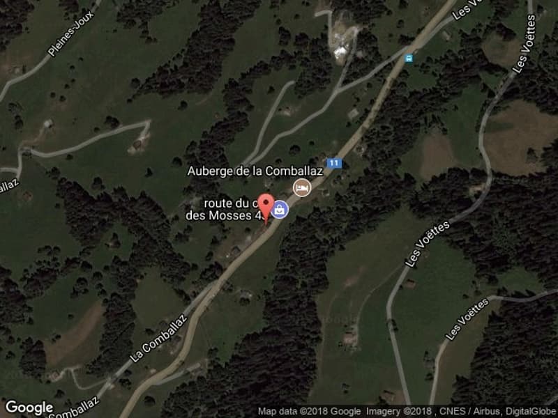 La Comballaz, the chalet with potential for a second apartment (13)