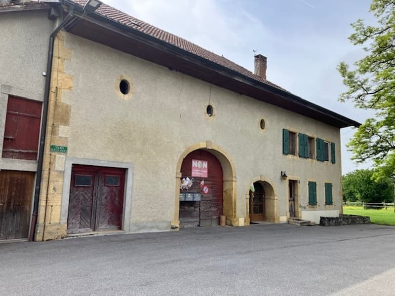 Zwei Gebäude mit großem Ertragspotenzial. Außerhalb der Bauzone. (3)