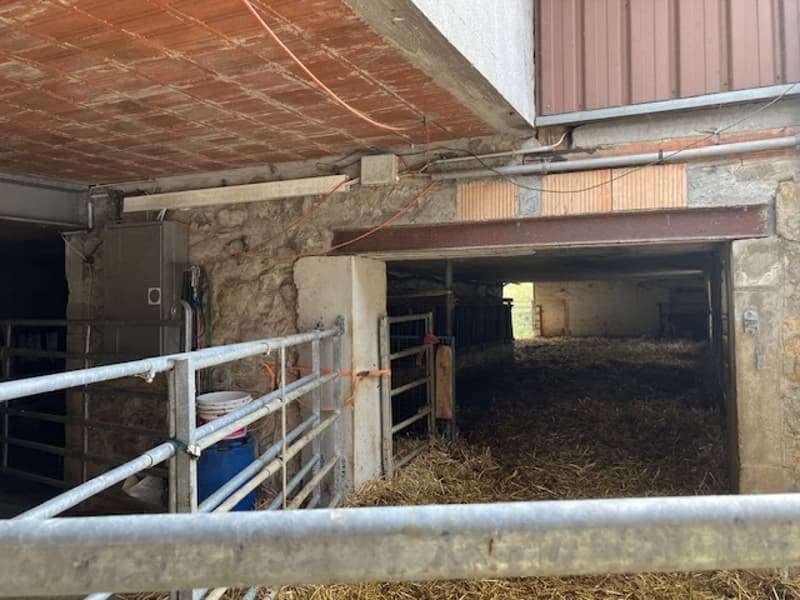 Zwei Gebäude mit großem Ertragspotenzial. Außerhalb der Bauzone. (5)