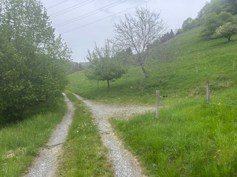 Unico nel suo genere: semichalet a Chamby (11)