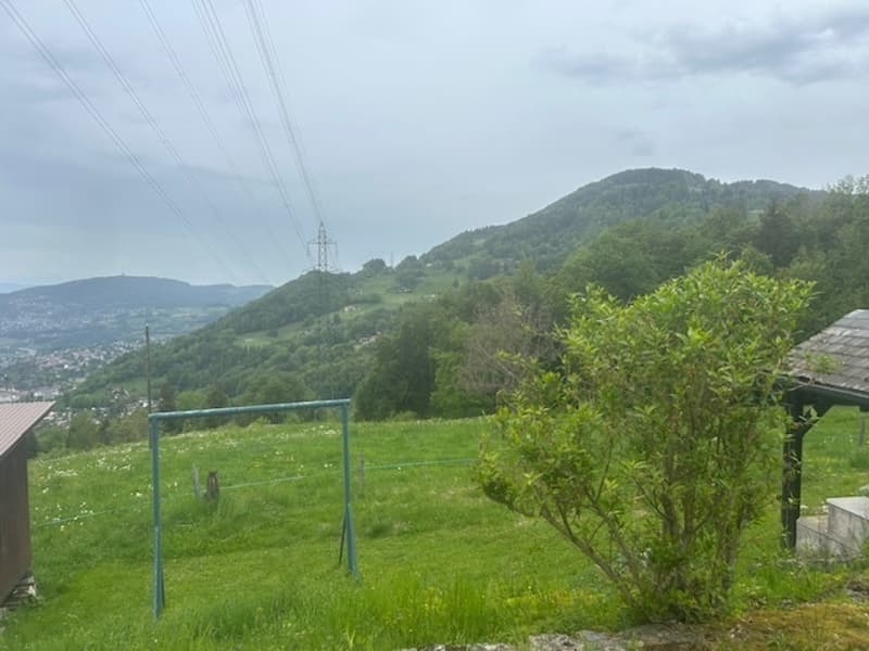 Unico nel suo genere: semichalet a Chamby (6)