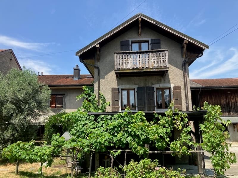 Complesso immobiliare con potenziale di creazione di alloggi a Chessel (1)