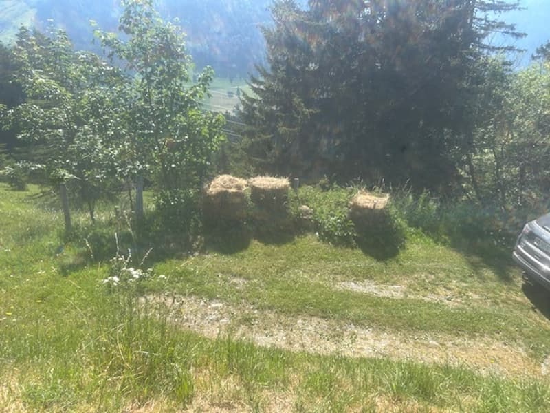 Chalet di pastori nella quiete della montagna. Comfort rustico. Unico! (12)