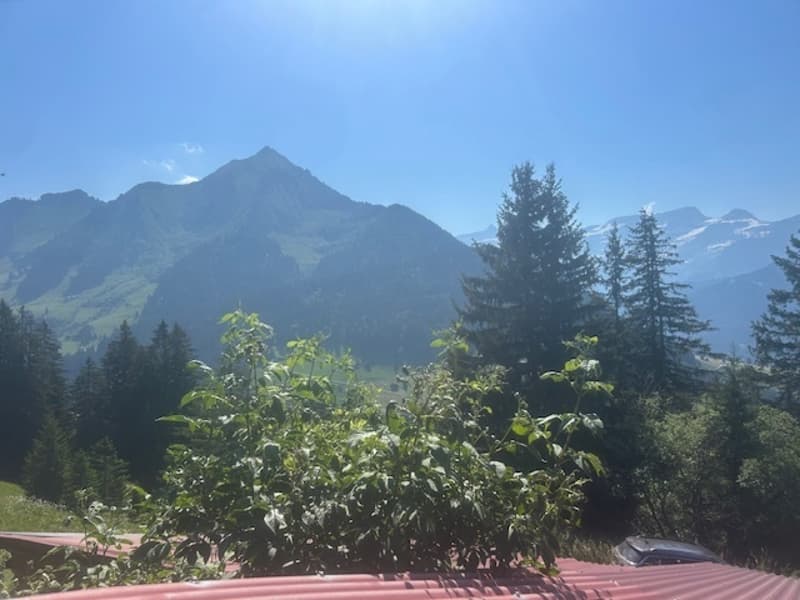 Chalet di pastori nella quiete della montagna. Comfort rustico. Unico! (8)