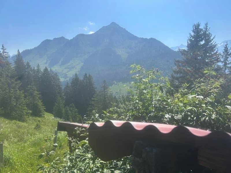 Chalet di pastori nella quiete della montagna. Comfort rustico. Unico! (10)