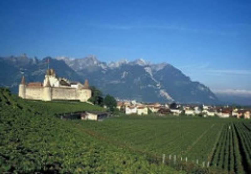 Suite à l'incendie de Aigle, propriétaire bienveillant loue une maison (1)