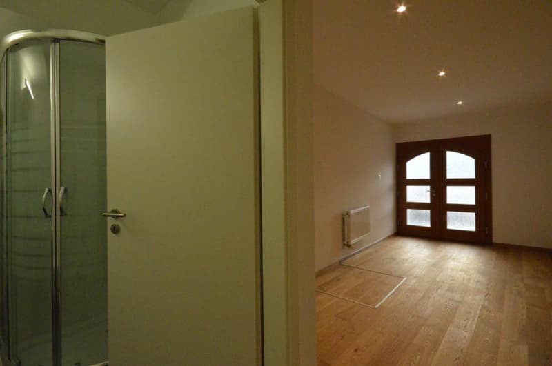 Yvorne : à deux minutes de Aigle : appartement sur 3 niveaux ! (5)