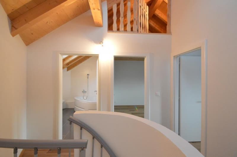 Yvorne : à deux minutes de Aigle : appartement sur 3 niveaux ! (3)