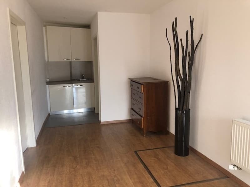 Yvorne : à deux minutes de Aigle : appartement sur 3 niveaux ! (6)