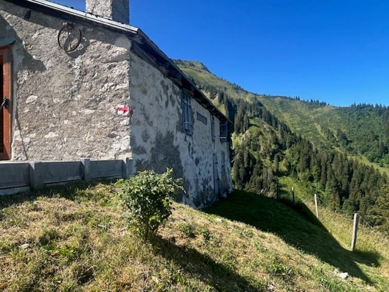 À vendre, Chalet, 1658 Rossinière, Réf Tsamufins (5)