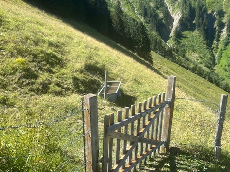 À vendre, Chalet, 1658 Rossinière, Réf Tsamufins (11)