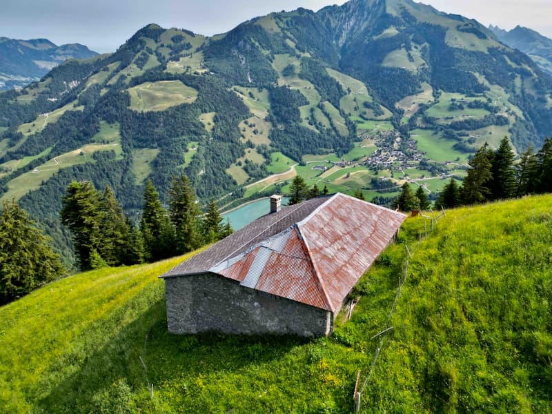 À vendre, Chalet, 1658 Rossinière, Réf Tsamufins (1)