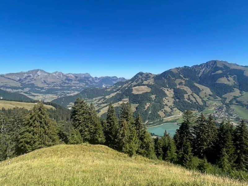 À vendre, Chalet, 1658 Rossinière, Réf Tsamufins (9)