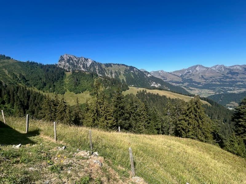 À vendre, Chalet, 1658 Rossinière, Réf Tsamufins (8)