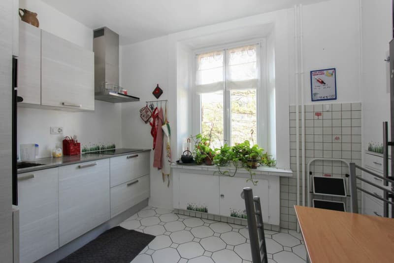 Grand appartement de rendement dans maison de maître avec jardin (7)