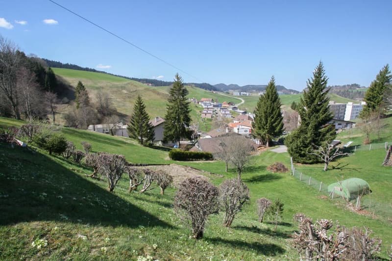 Last 5.5-room villa on the heights of Le Locle (6)