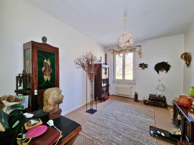 Beautiful building featuring a renowned restaurant and a 9-room apartment in the heart of nature (9)