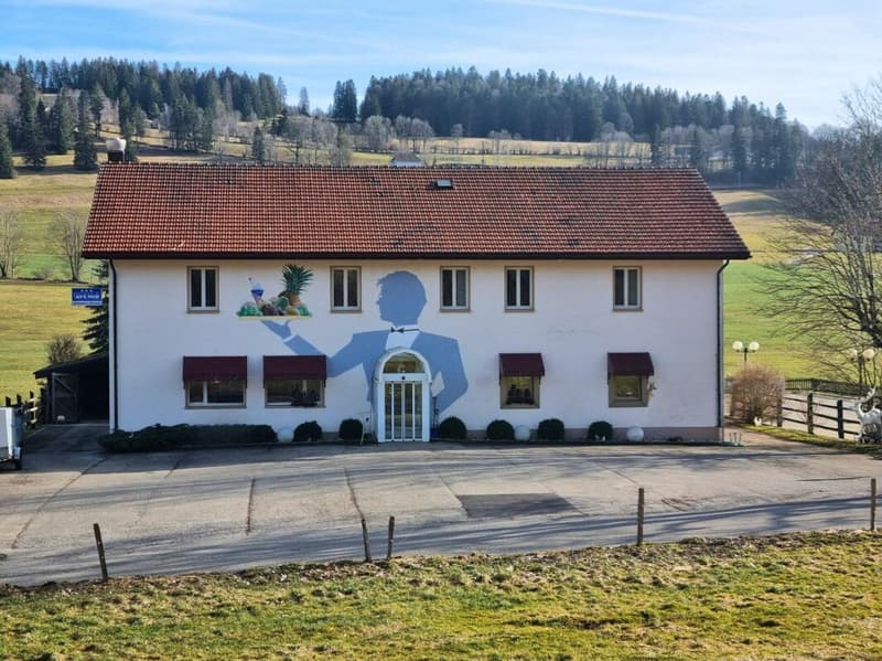 Beautiful building featuring a renowned restaurant and a 9-room apartment in the heart of nature (2)