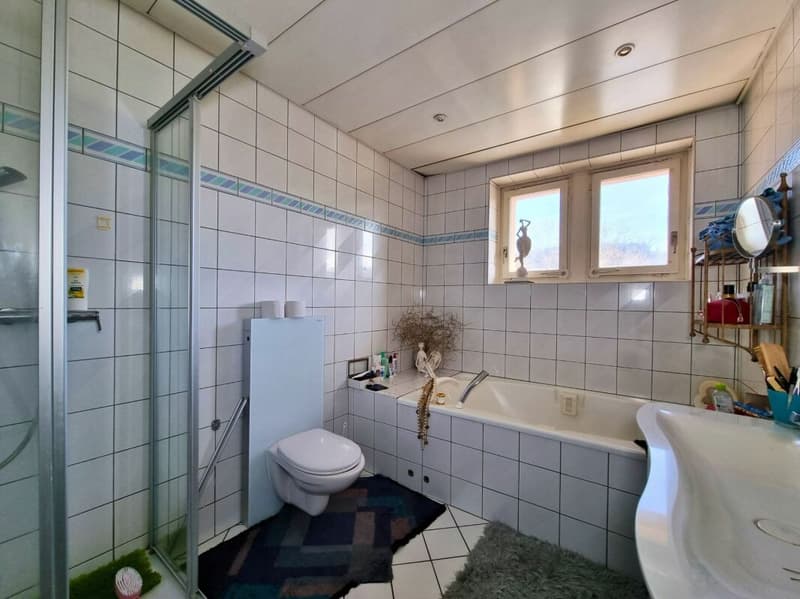 Beautiful building featuring a renowned restaurant and a 9-room apartment in the heart of nature (12)