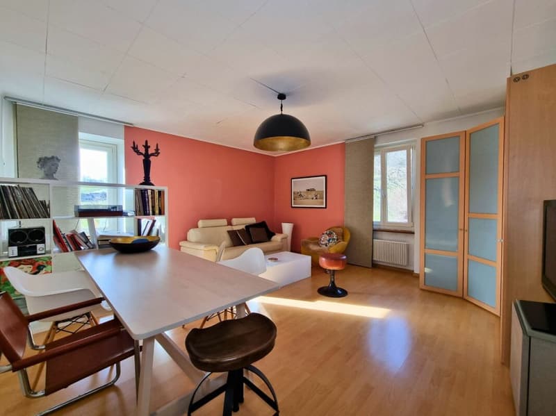 Beautiful building featuring a renowned restaurant and a 9-room apartment in the heart of nature (15)