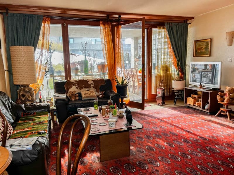 2.5 pièces en terrasse avec belle luminosité - Vente en viager (7)