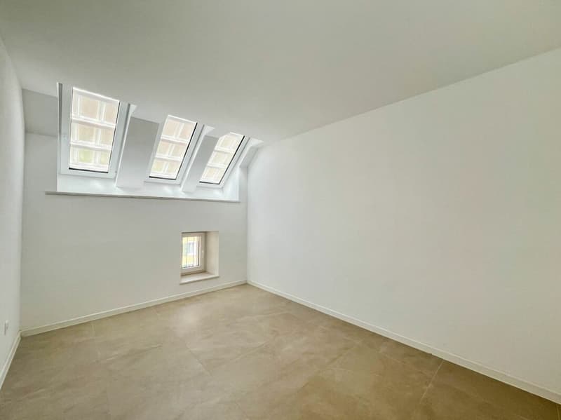 Charmant duplex de 4 pièces entièrement rénové pour du rendement (4)