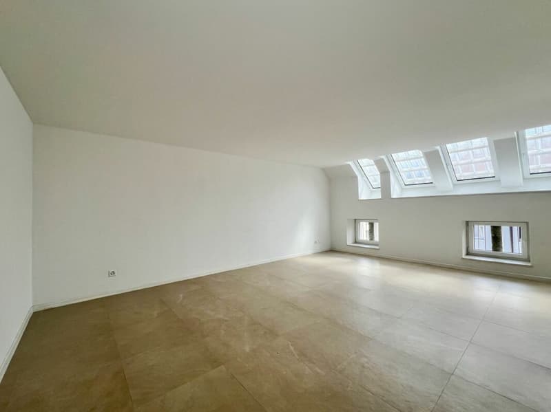 Charmant duplex de 4 pièces entièrement rénové pour du rendement (7)