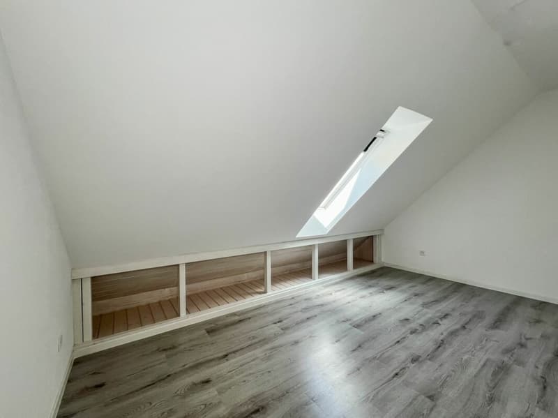 Charmant duplex de 4 pièces entièrement rénové pour du rendement (9)