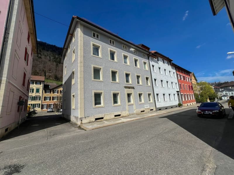 Charmant duplex de 4 pièces entièrement rénové pour du rendement (11)