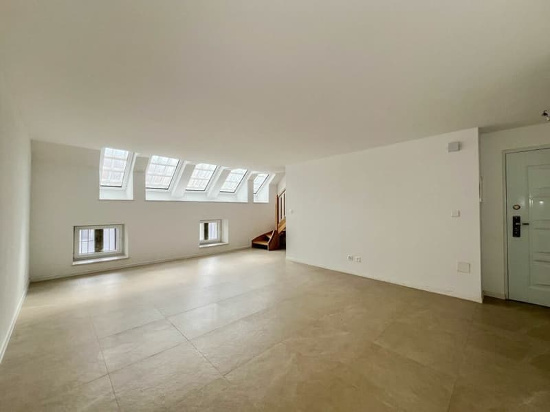 Charmant duplex de 4 pièces entièrement rénové pour du rendement (5)