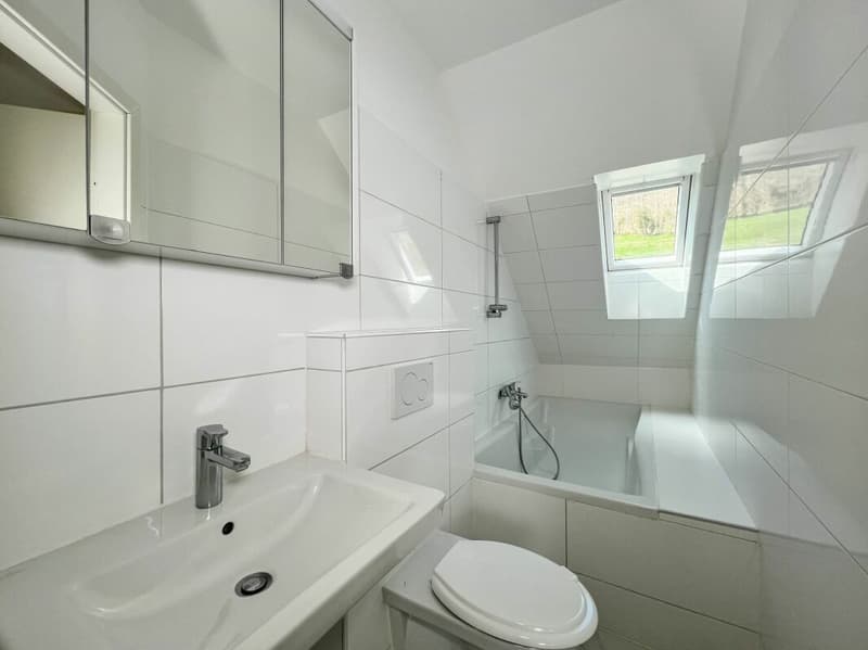 Charmant duplex de 4 pièces entièrement rénové pour du rendement (10)