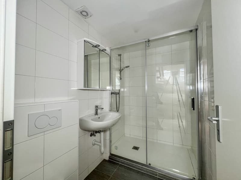 Charmant duplex de 4 pièces entièrement rénové pour du rendement (6)