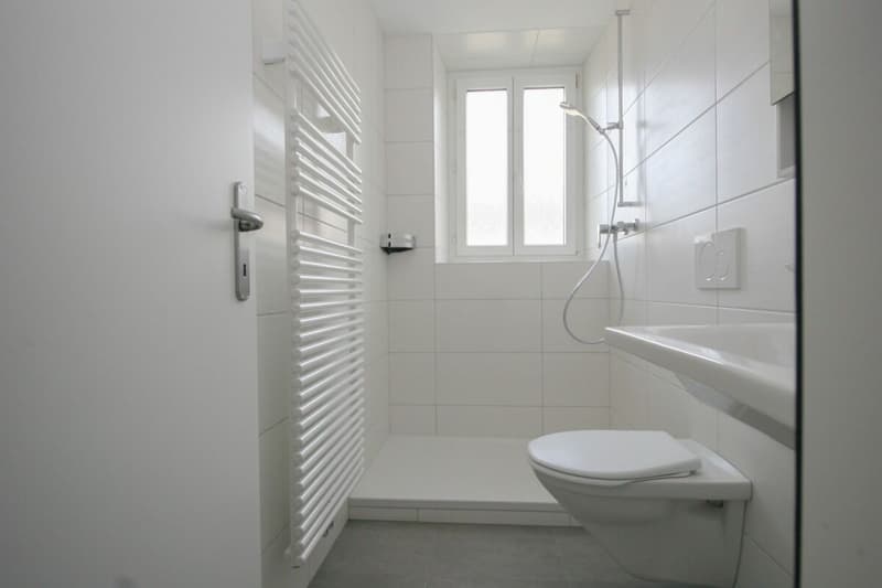 Beautiful 3-room apartment on the ground floor (5)