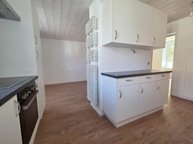 Wohnung mit 2.5 Zimmern komplett renoviert! (2)