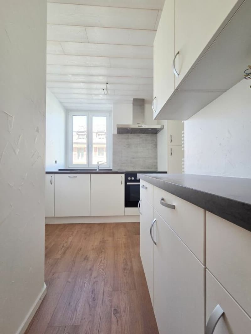 Wohnung mit 2.5 Zimmern komplett renoviert! (3)