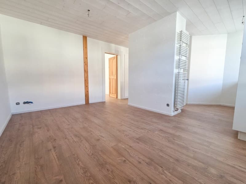 Wohnung mit 2.5 Zimmern komplett renoviert! (5)