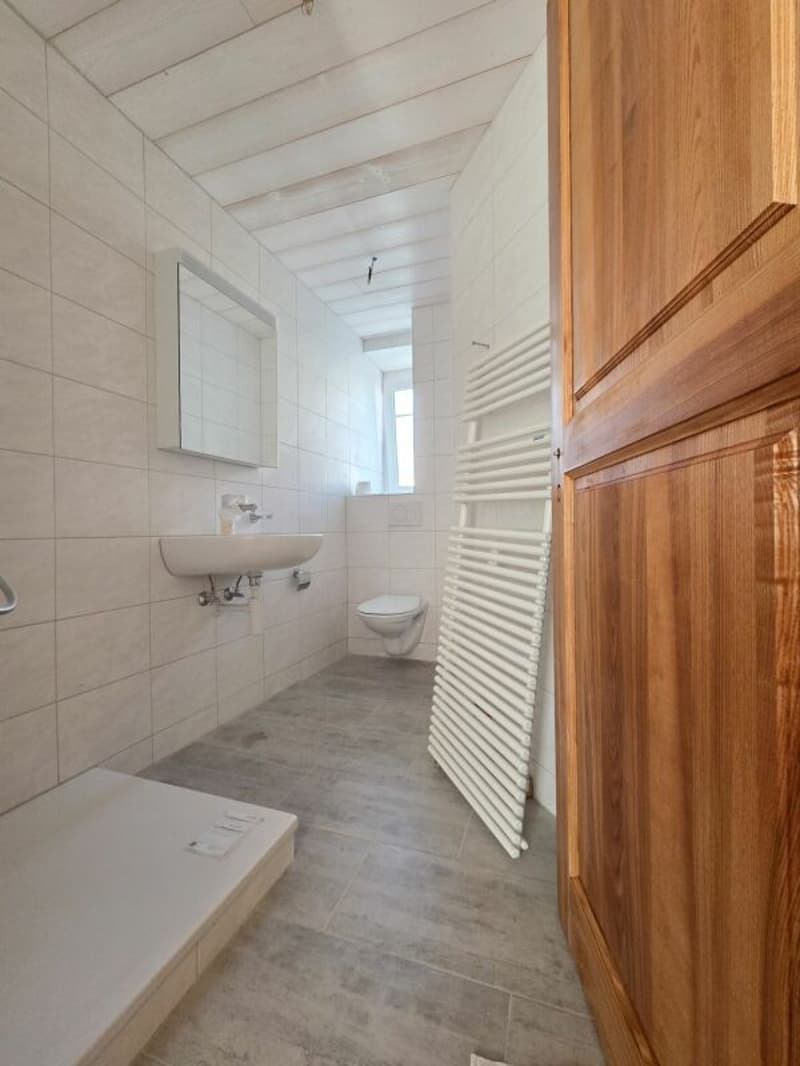 Wohnung mit 2.5 Zimmern komplett renoviert! (4)