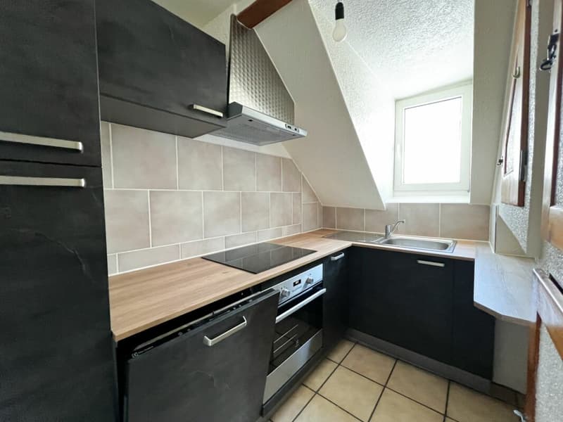 FIRST NET RENT OFFERED - Beautiful 4.5-room apartment (4)