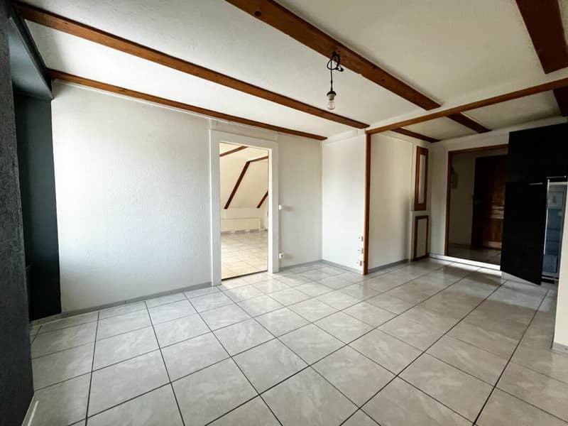 FIRST NET RENT OFFERED - Beautiful 4.5-room apartment (5)