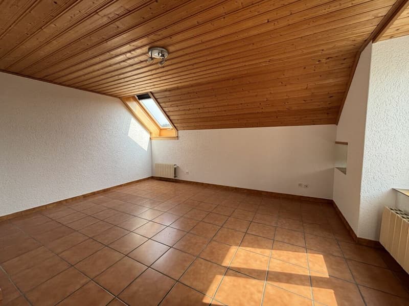 Charmante maison individuelle de 8 pièces (11)