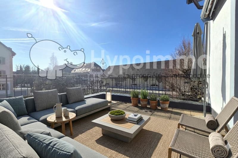 Prächtige 2-Zimmer-Wohnung mit großer Terrasse und Veranda renoviert (1)