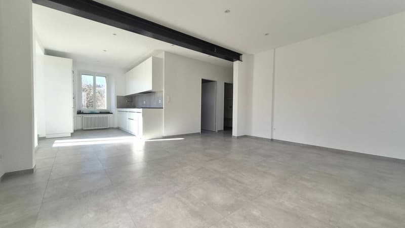 Prächtige 2-Zimmer-Wohnung mit großer Terrasse und Veranda renoviert (6)