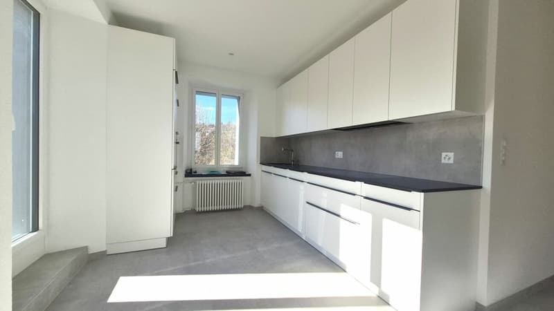Prächtige 2-Zimmer-Wohnung mit großer Terrasse und Veranda renoviert (7)