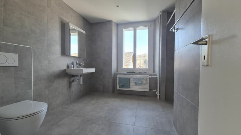 Prächtige 2-Zimmer-Wohnung mit großer Terrasse und Veranda renoviert (10)