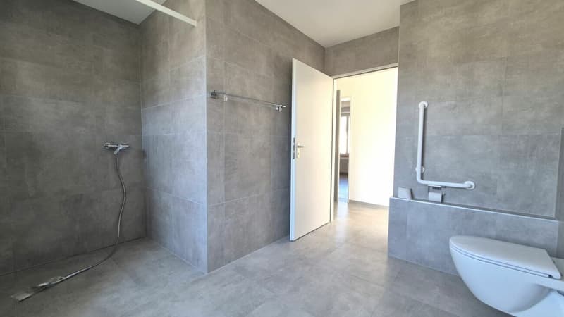 Prächtige 2-Zimmer-Wohnung mit großer Terrasse und Veranda renoviert (12)