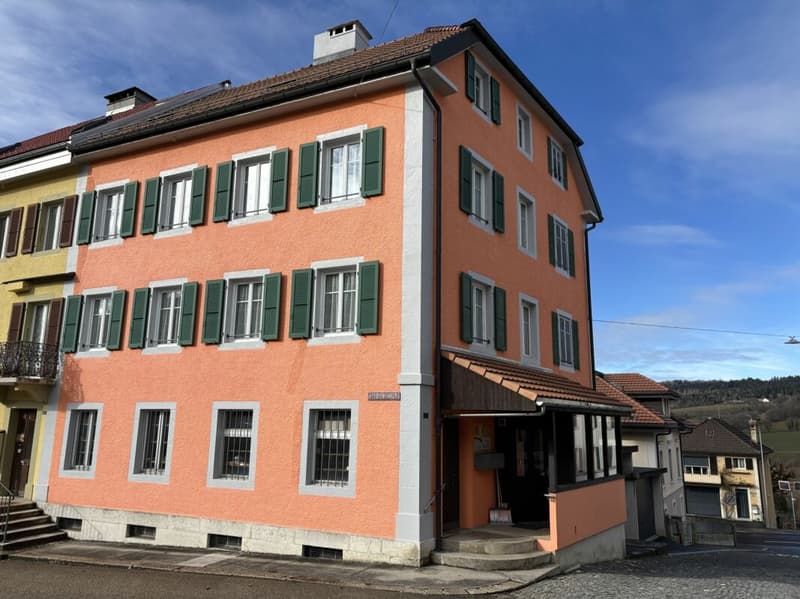 Beautiful family building with terrace and garden (2)