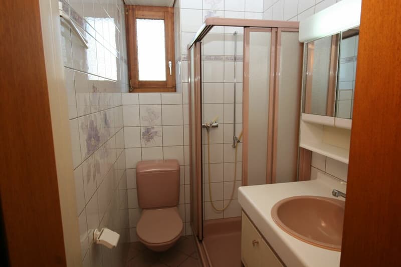 Joli appartement de 3 pièces (5)