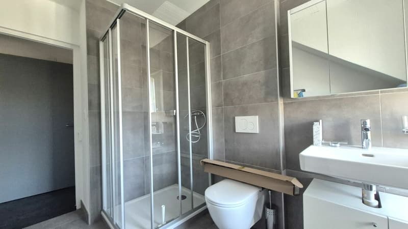2-room apartment full of charm in Le Locle (5)