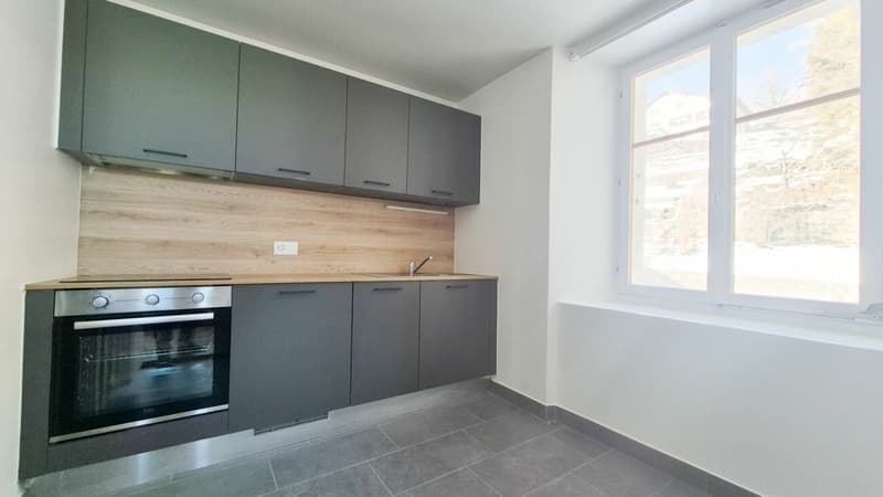 Appartamento luminoso di 3.5 locali, cucina e bagno nuovi - 1° affitto offerto (3)