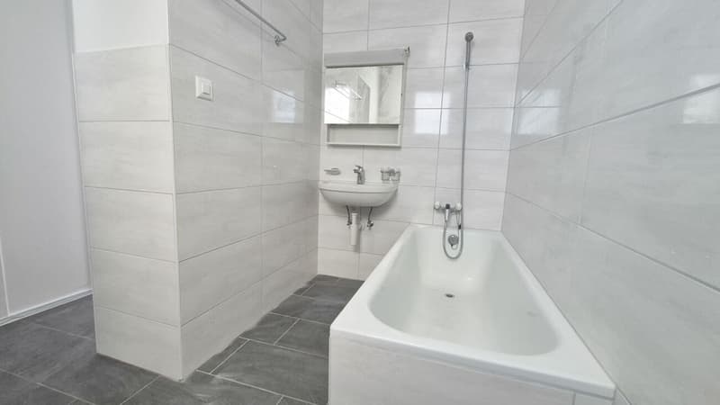 Appartamento luminoso di 3.5 locali, cucina e bagno nuovi - 1° affitto offerto (8)